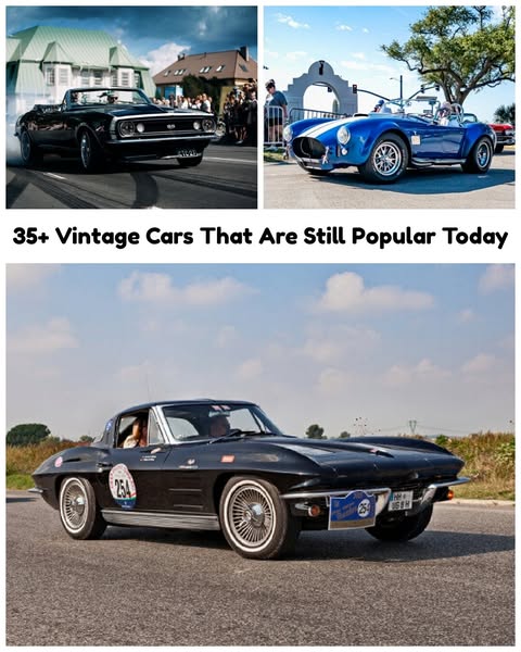 The 35 Vintage Cars That Still Hold Up In Todays Market