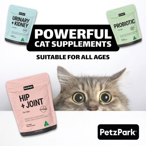 Cat Probiotics & Dietary Supplements | Petz Park