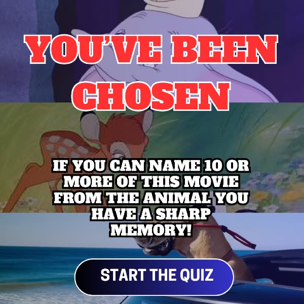 Start The Quiz Now>>>